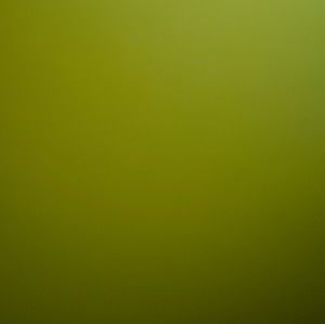 Meet your Posher, Shawn